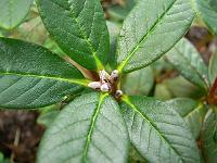 10-07-2007_17-45-20_135